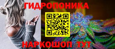 кокс Будённовск