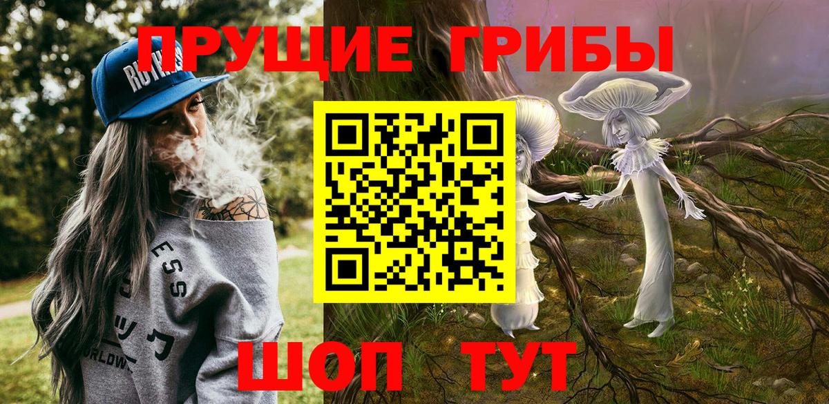 Слободской  Псилоцибиновые грибы Psilocybe  наркотики  Псилоцибиновые грибы мухоморы  Вход с VPN 